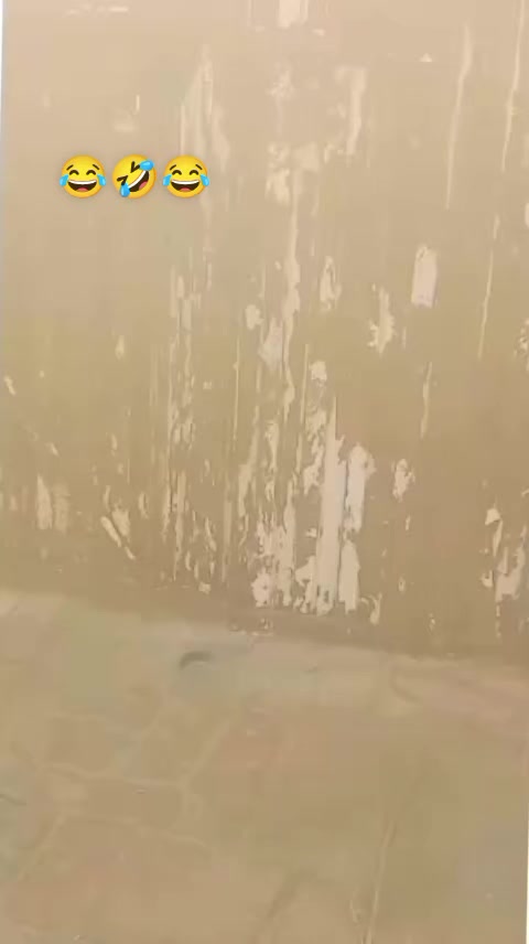 @BANiiiii
