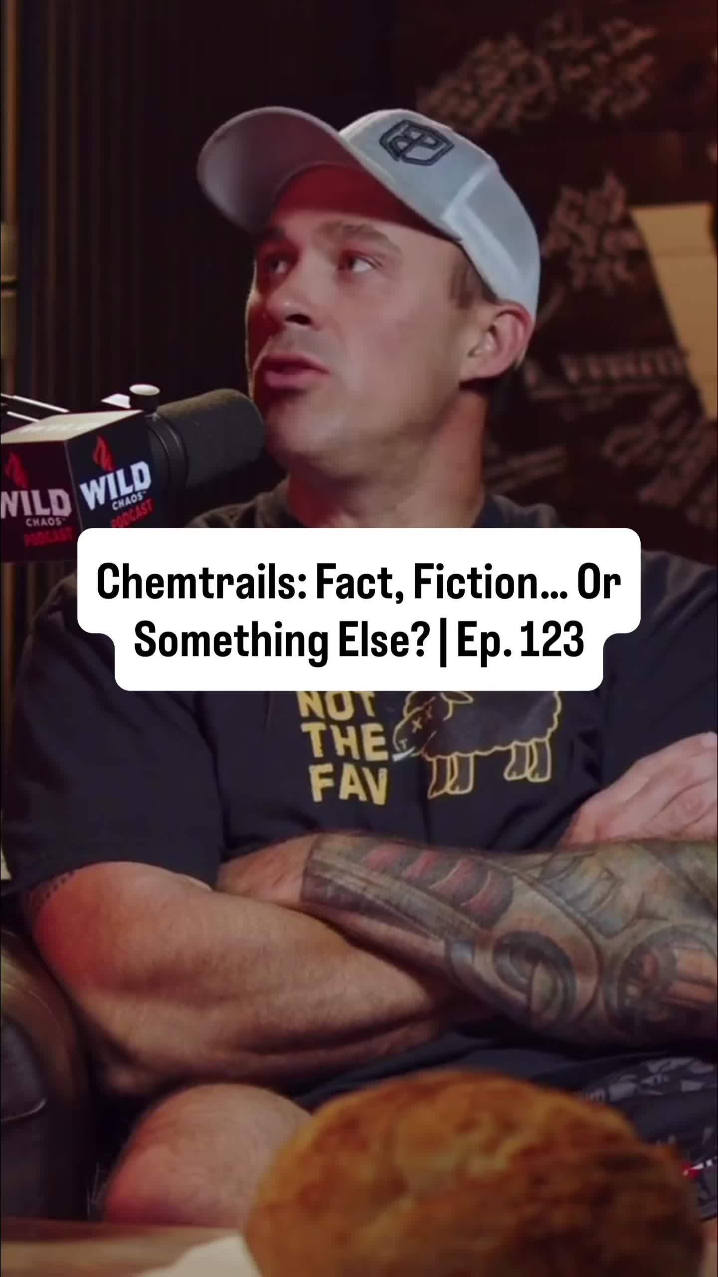 @TheWildChaosPodcast
