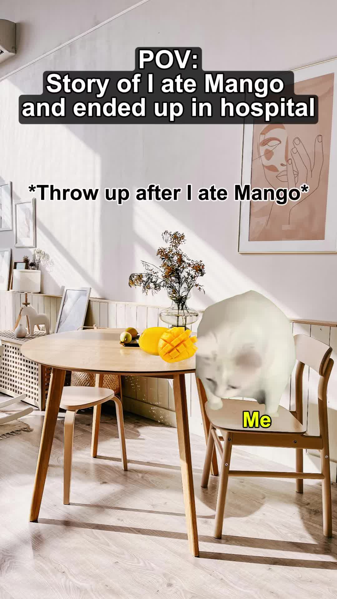 @Meme Meow 🐈🐈⬛