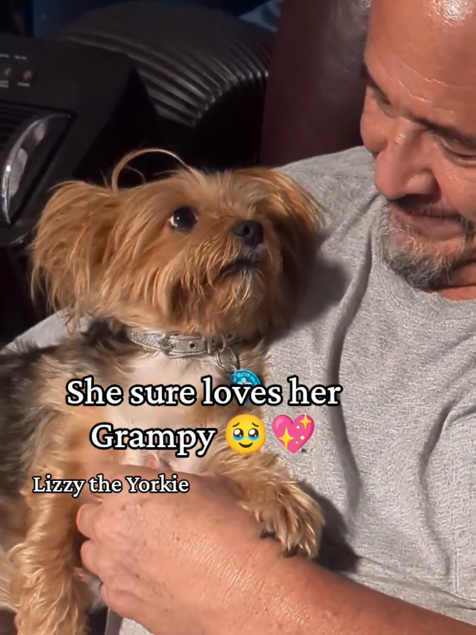 @Lizzytheyorkie