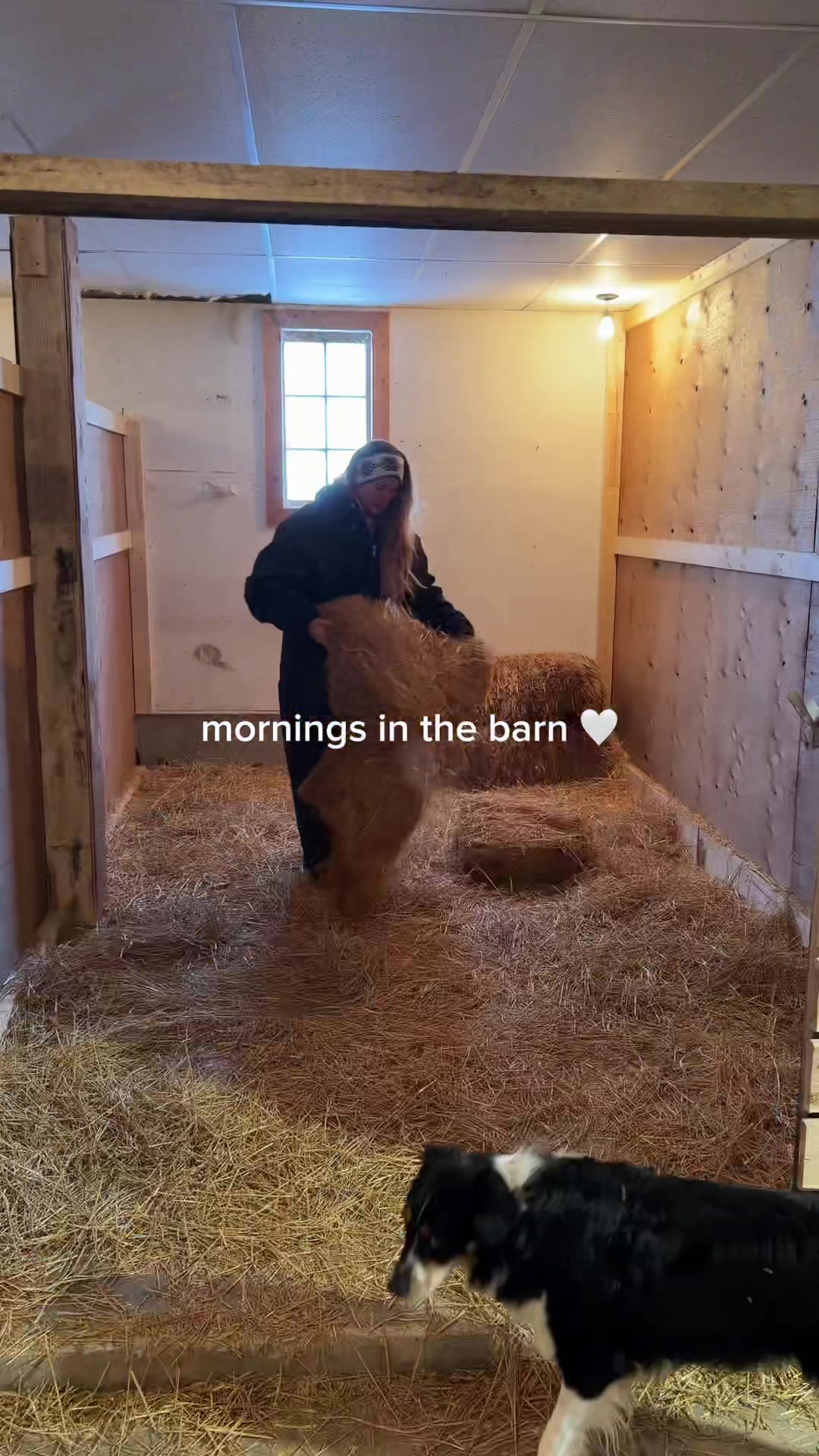 @kennedykazeil