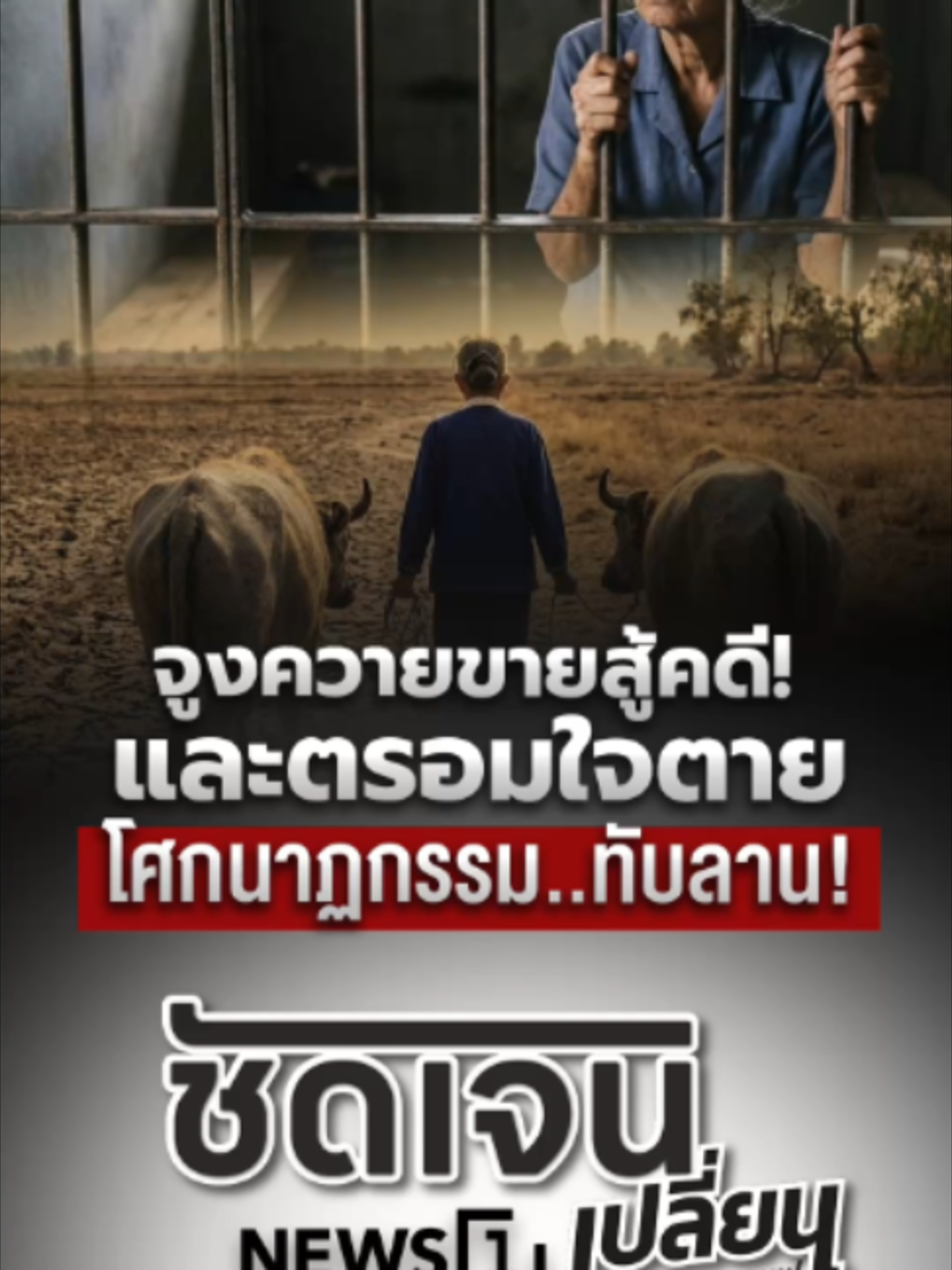 @news1