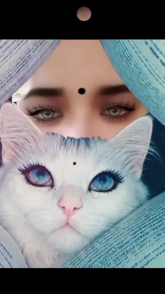 @তোমাকে চাই💖💥