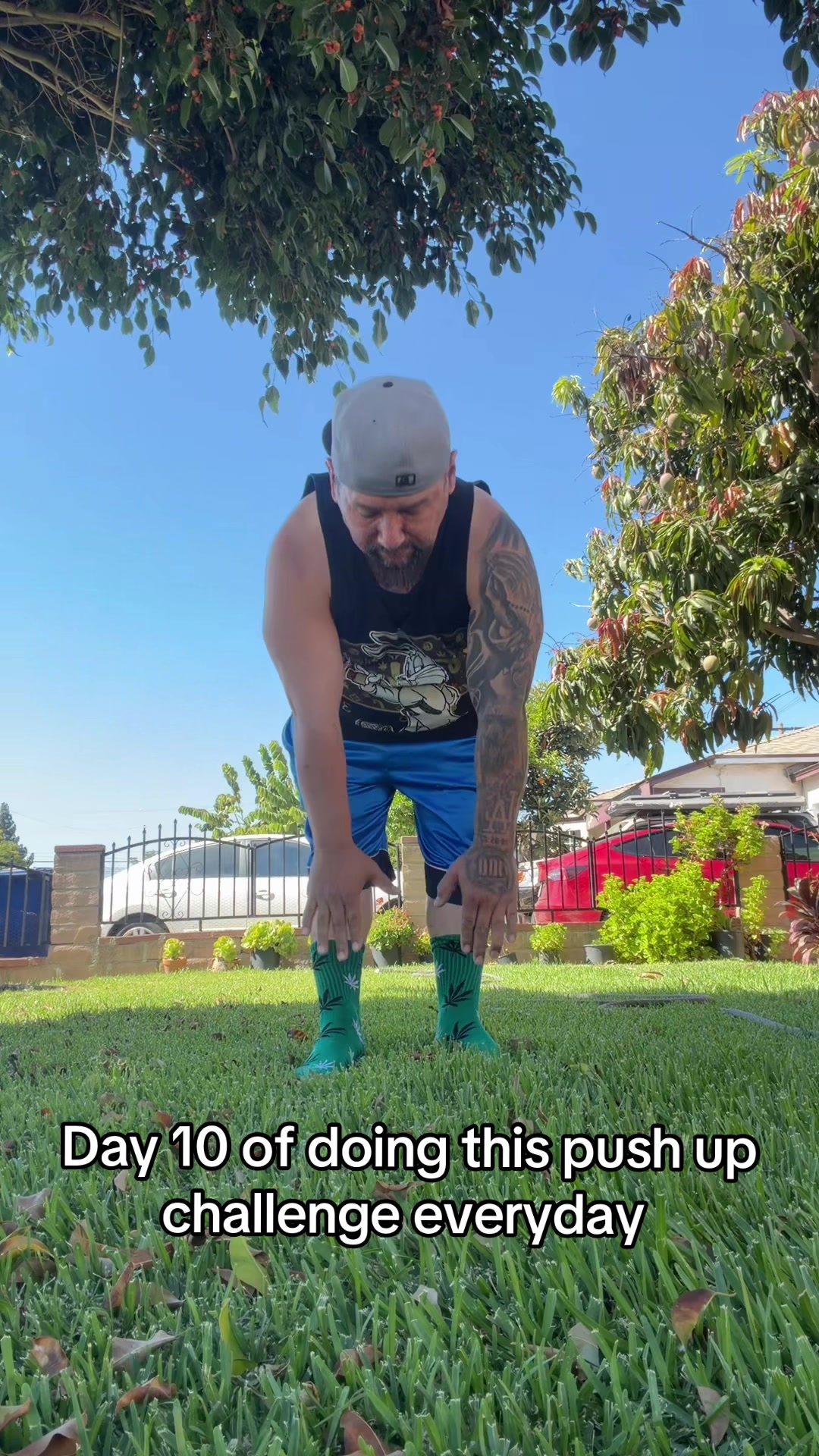 @Boxertherealest1
