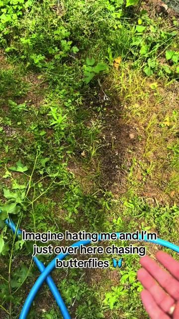 @🍄
