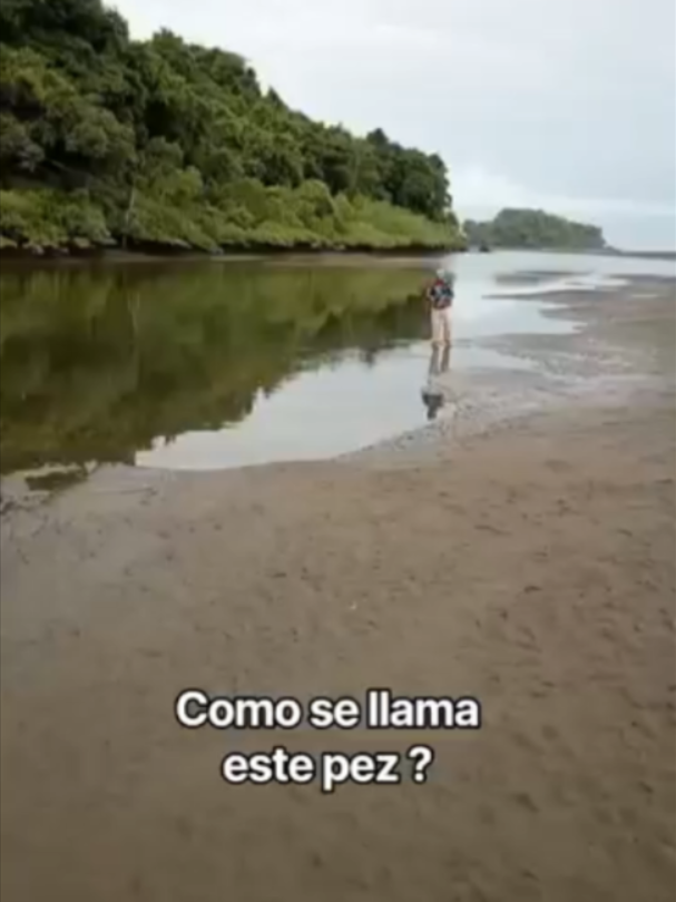 @Forajidos