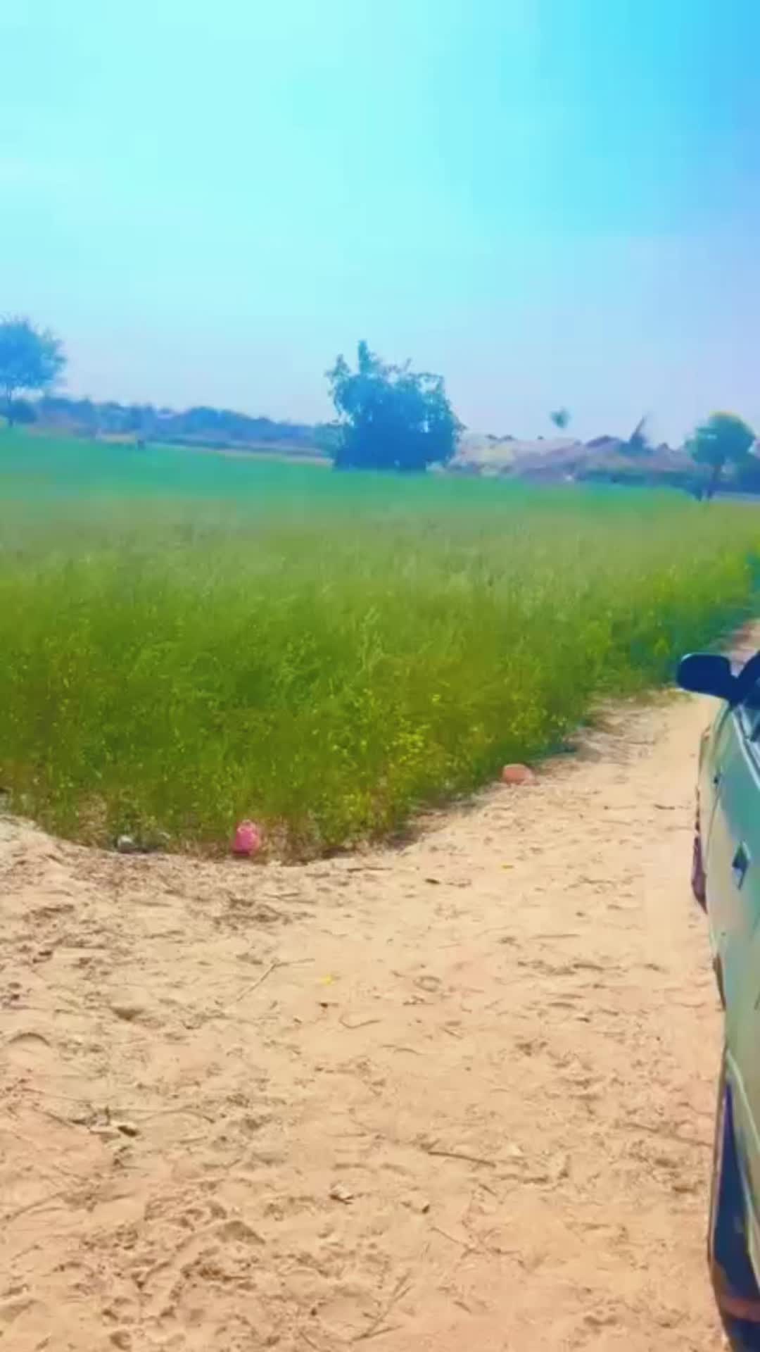 @سرفراز مریم