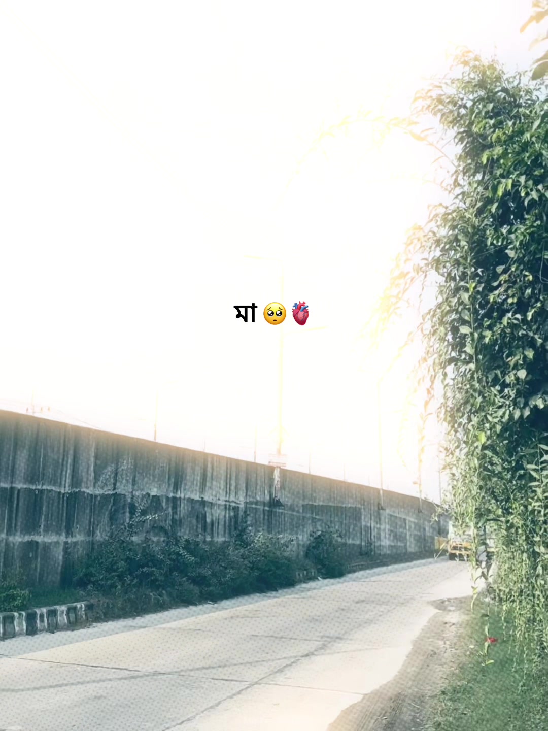 @-ᴅᴀɪꜱʏ-🌼