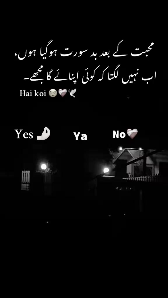 @Talha king 👑