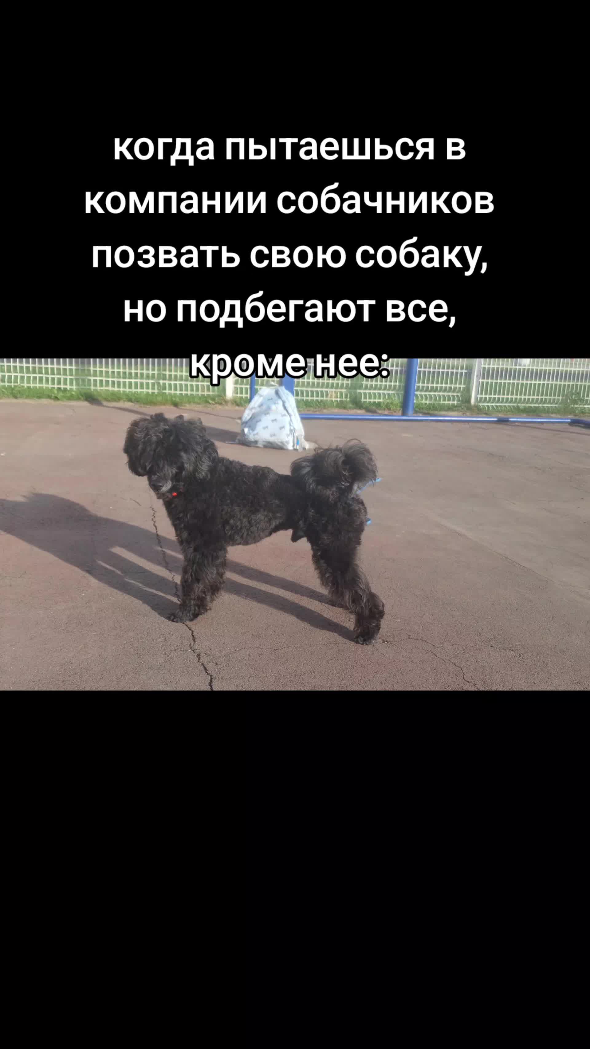 @ⲁⲅⲣⲉⲥⲥ&upsilon;ⲃⲏⲟⲉ ⲱⲁⲃⲗⲟ
