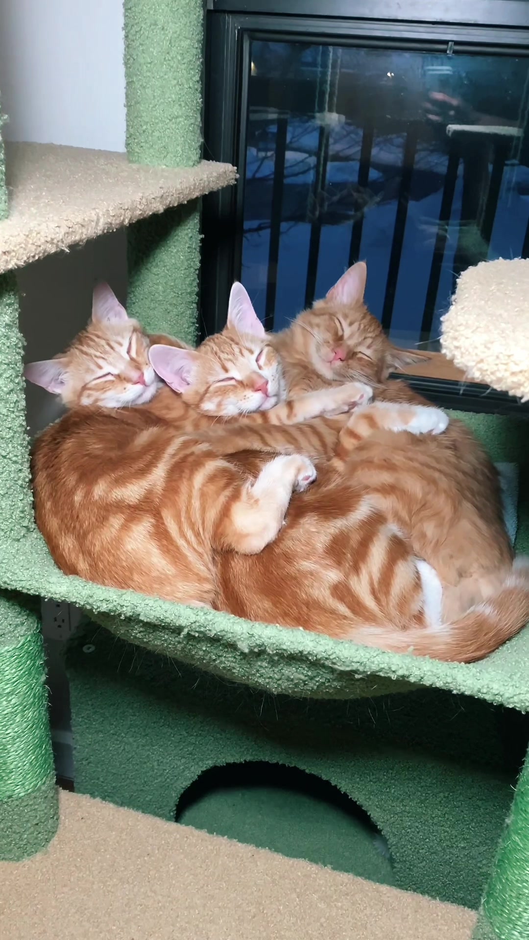 @Orim