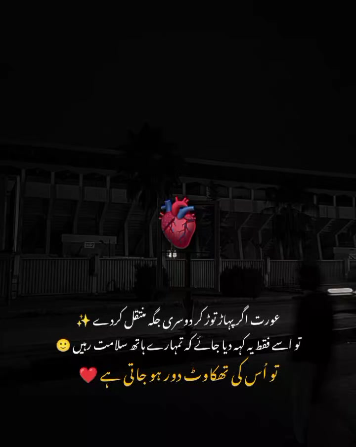 @MrS ArSaLaN♥️