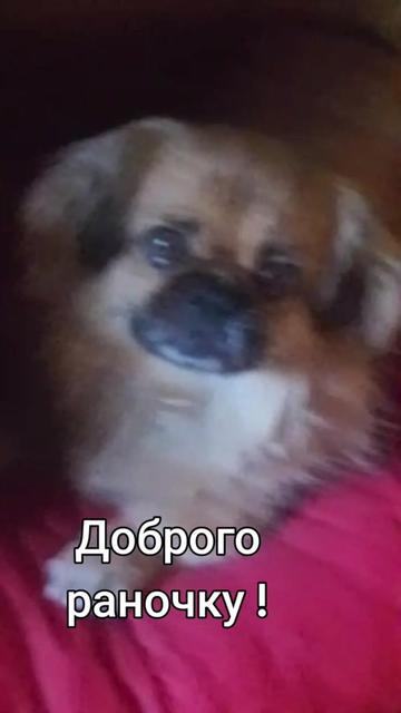 @Богдана Богдана