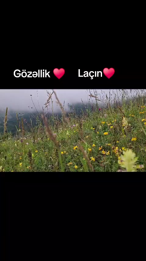 @Niyameddin La&ccedil;ınlı041