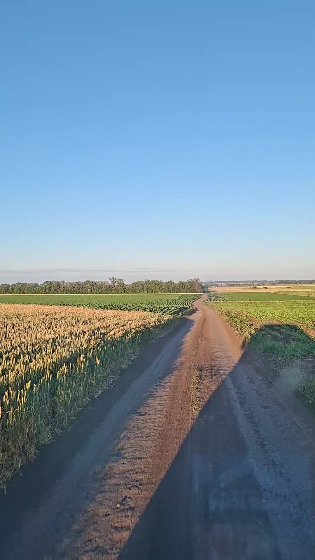 @Радмила хулиганка