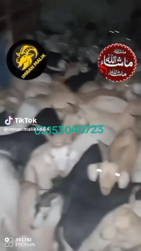 @rihan malik