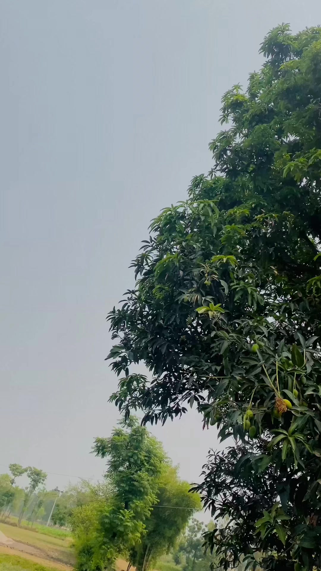 @Mr Talha_Dhillon 786🦅