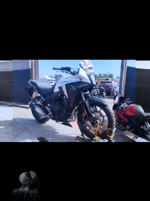 @💀MOTORBIKE LOGISTICA💀