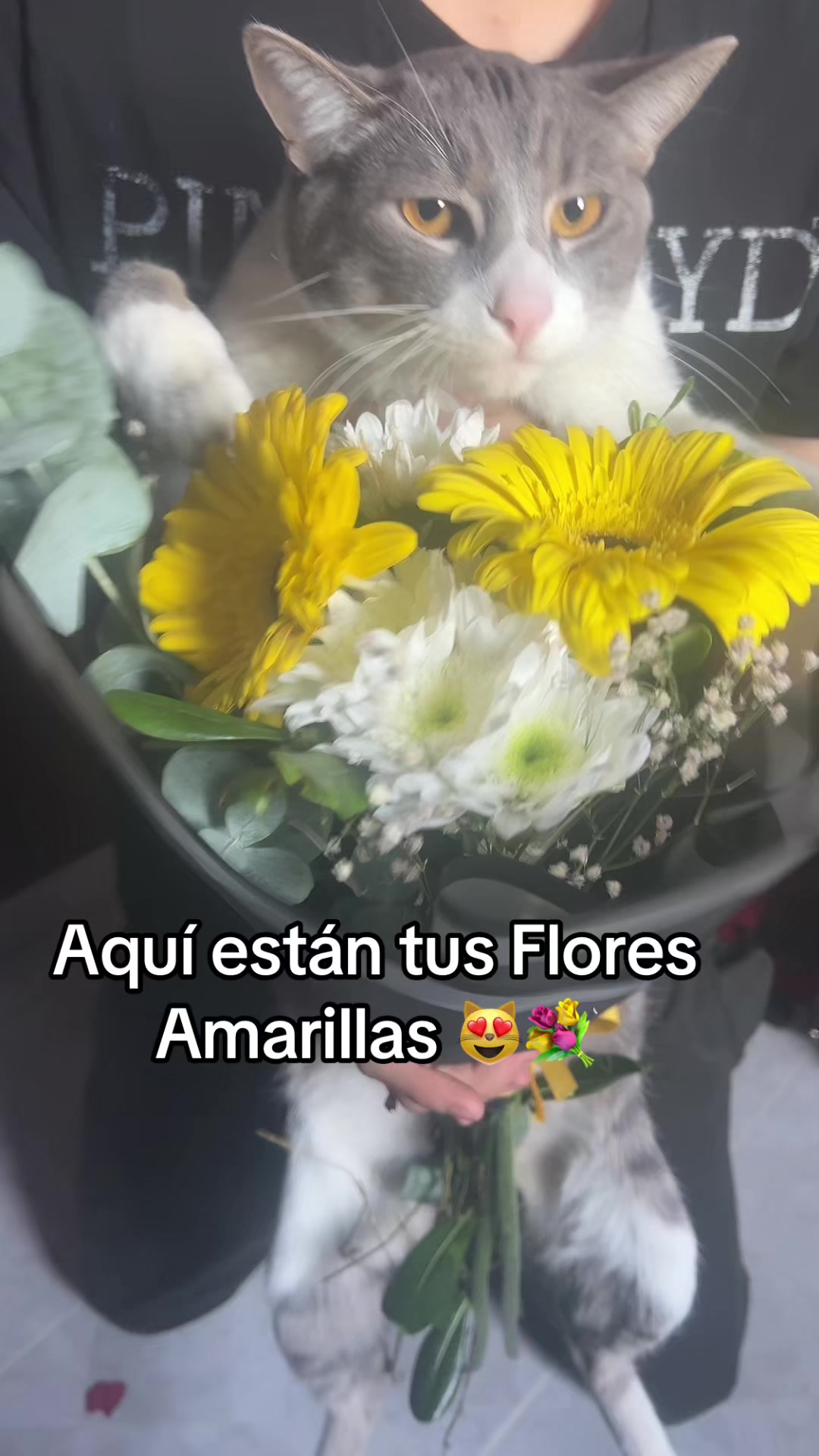 @Esmeralda Effy Ortiz