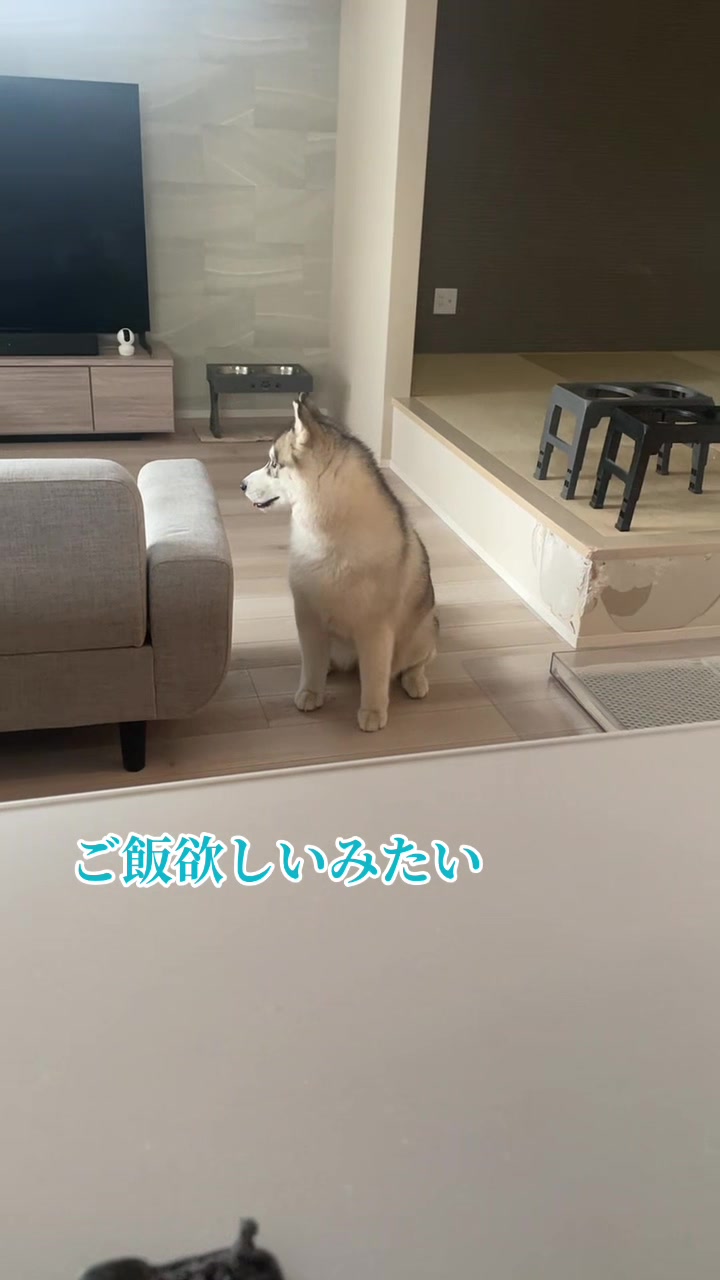 @サン☀️とムーン🌙