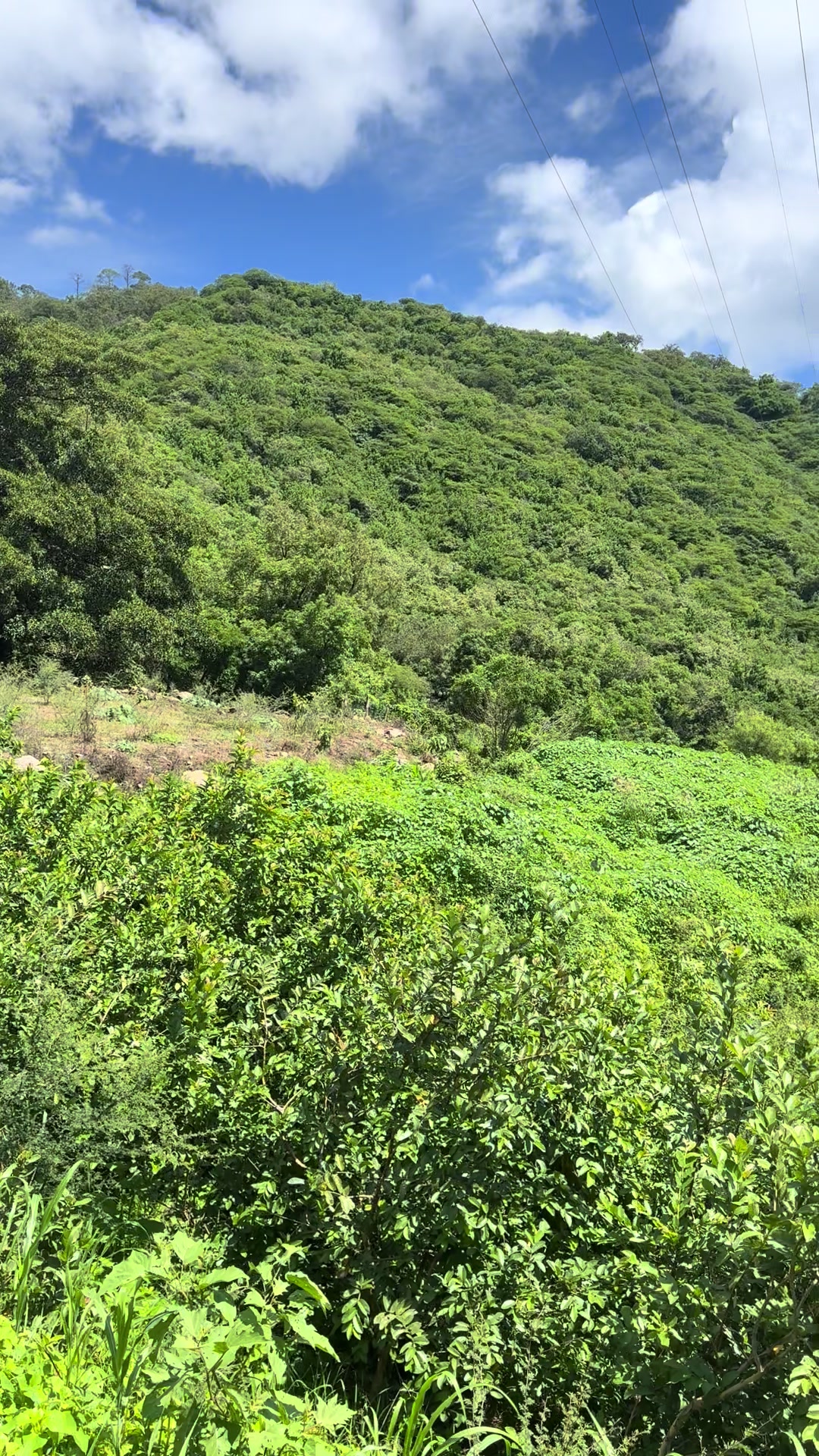 @Moy Osuna