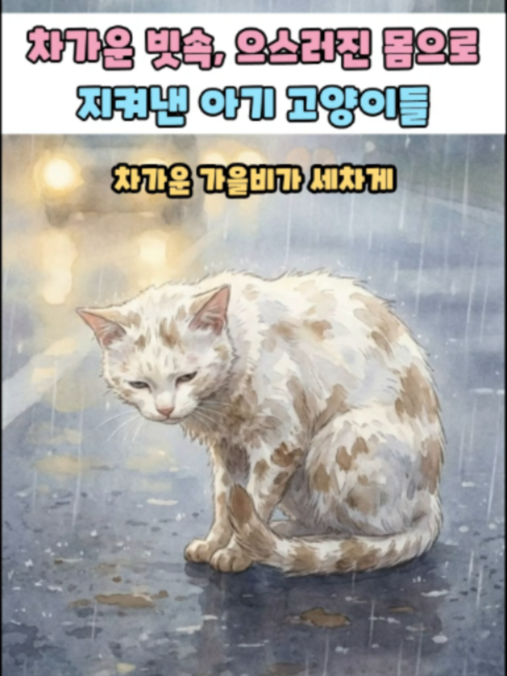 @반려동물힐링세상
