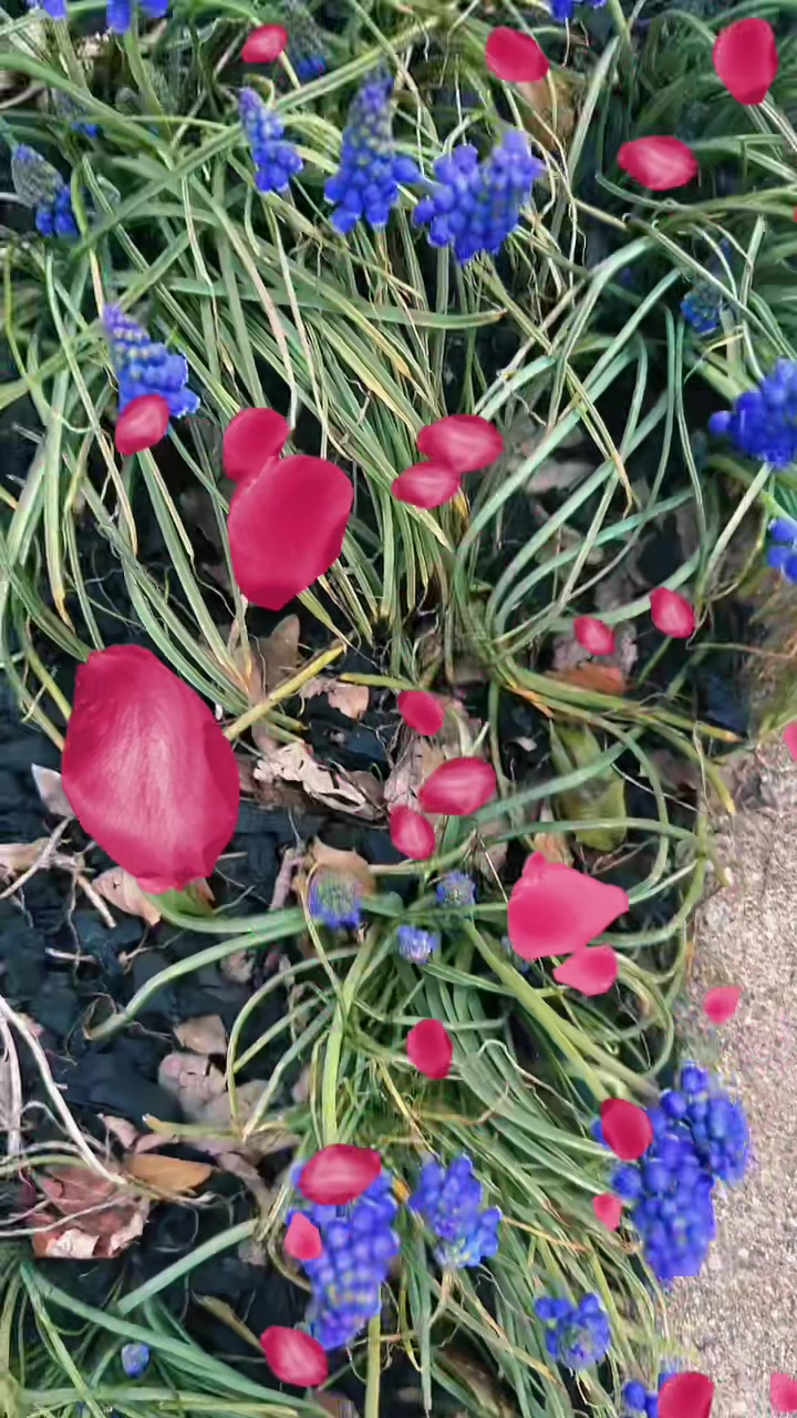 @munabastola18