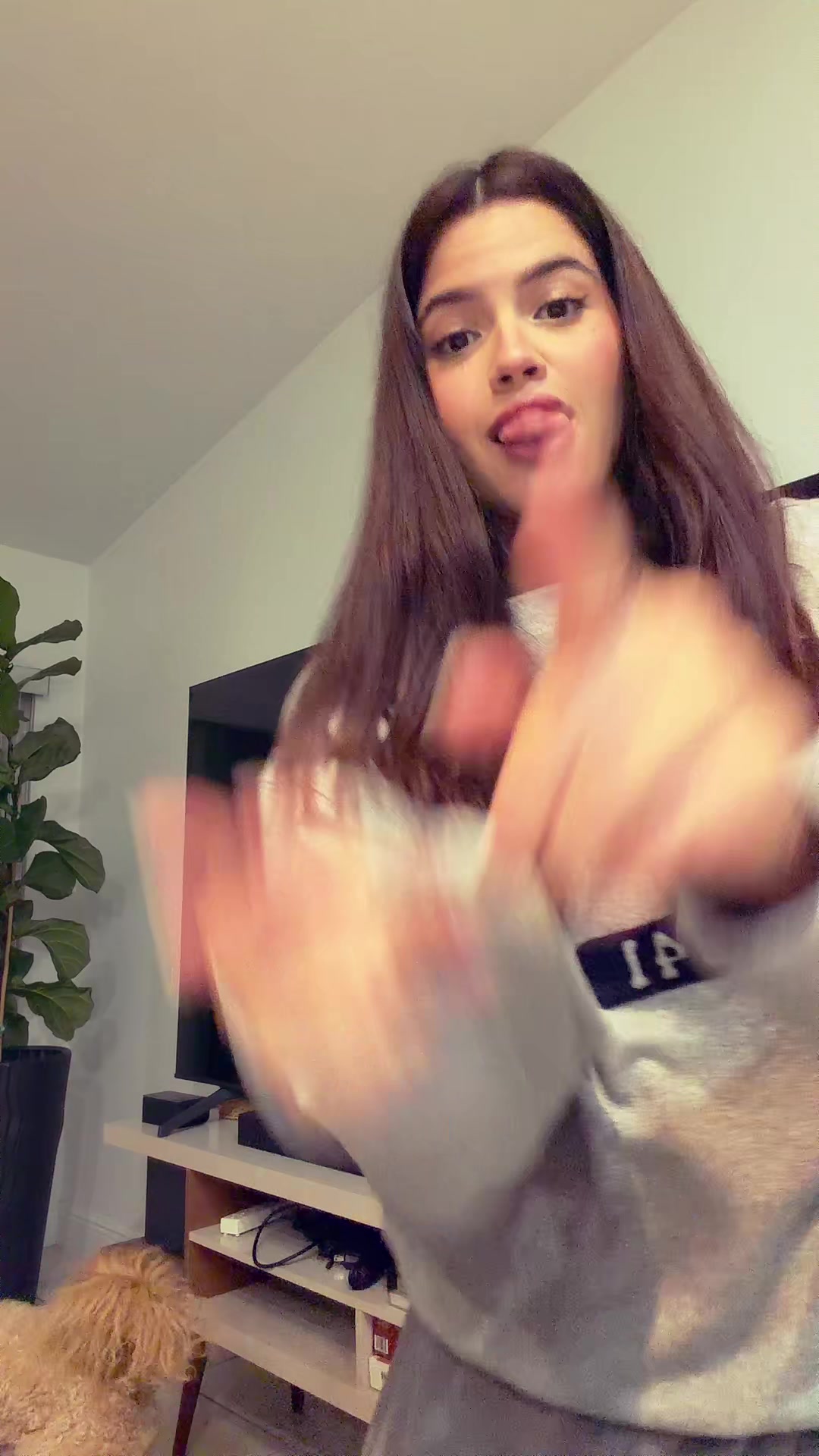@fabiiirl__
