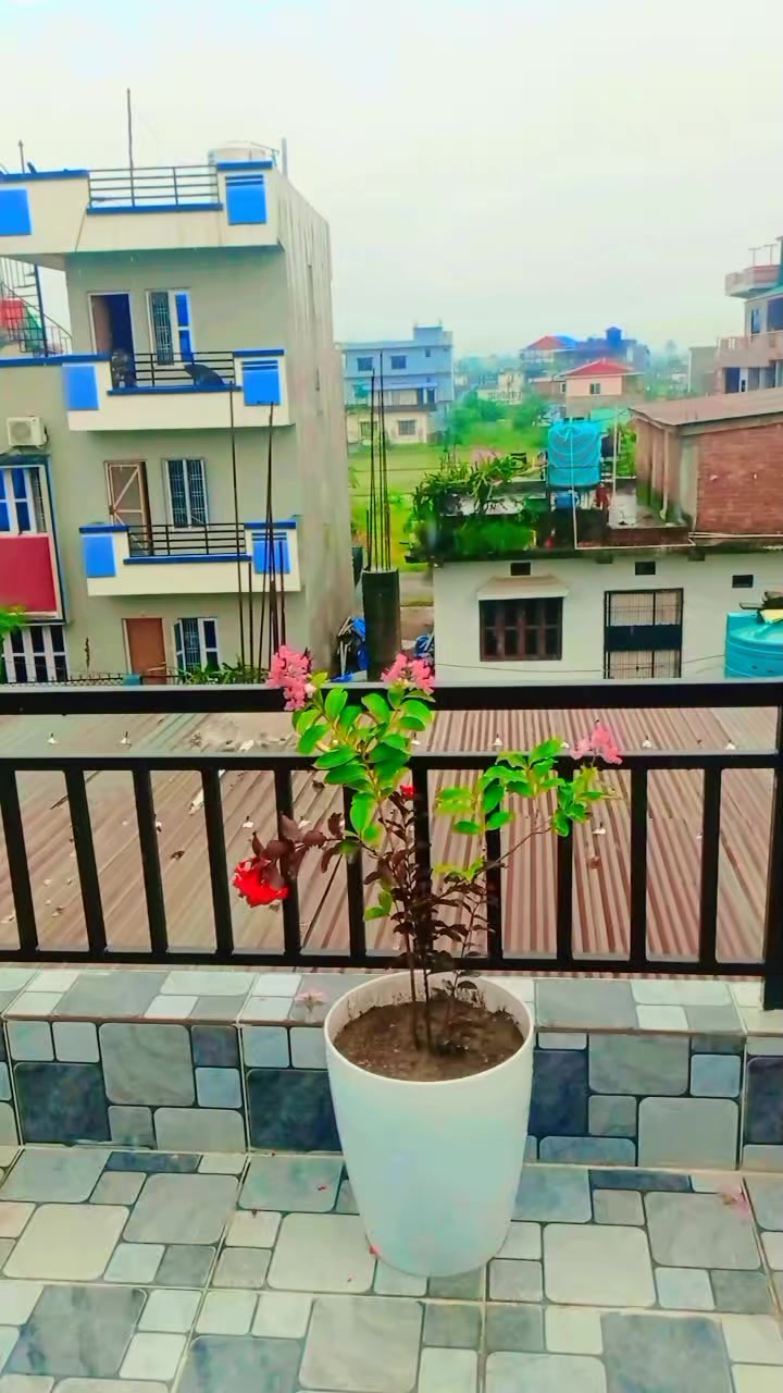 @Sita limbu