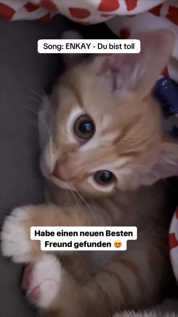 @ENKAY Content