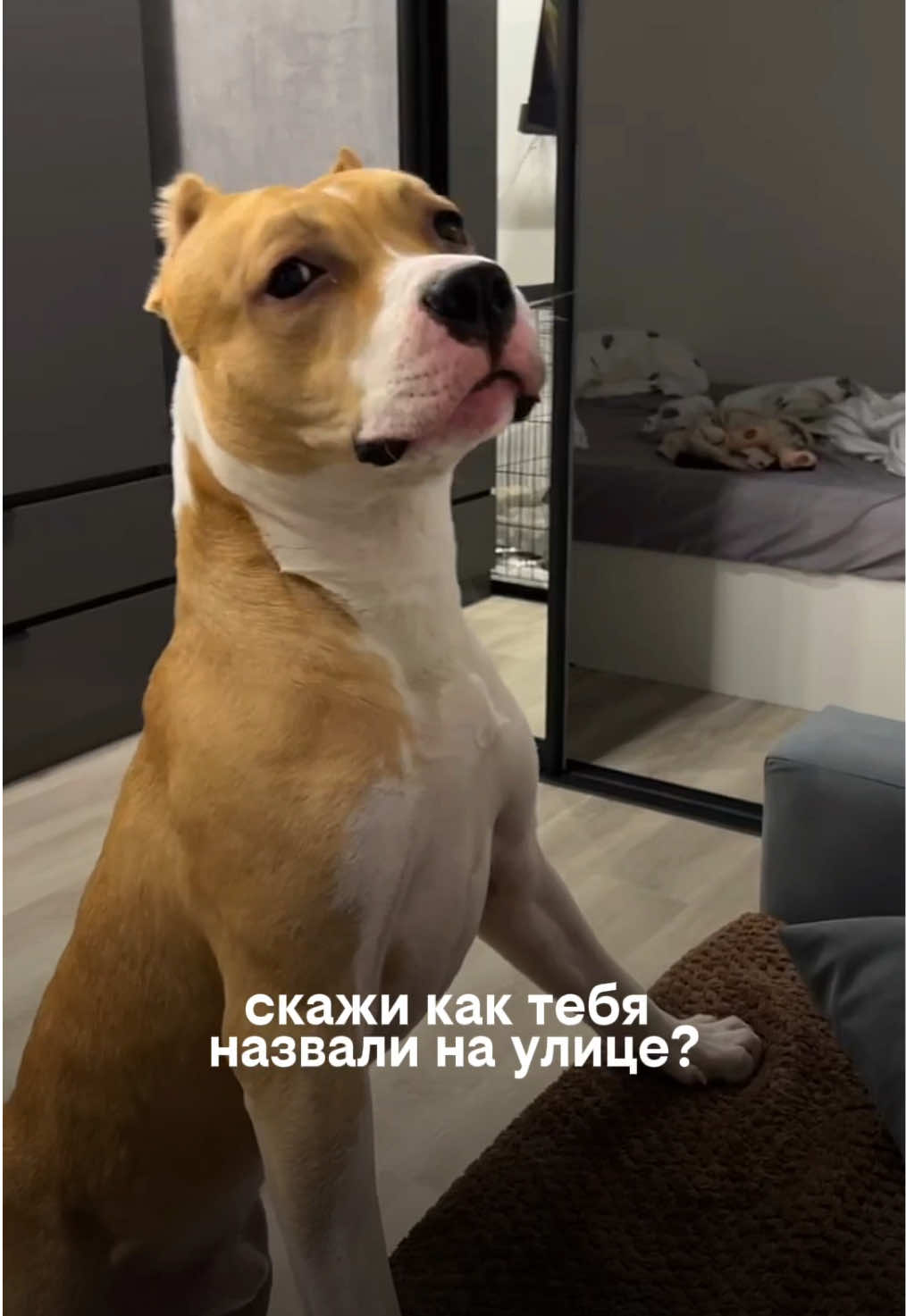 @ТГК: SUN