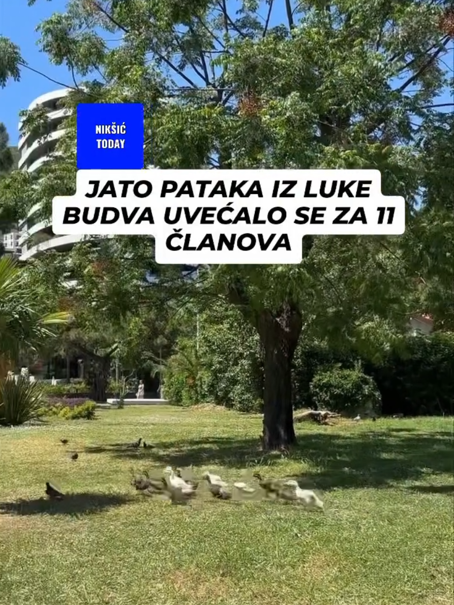@niksic.today