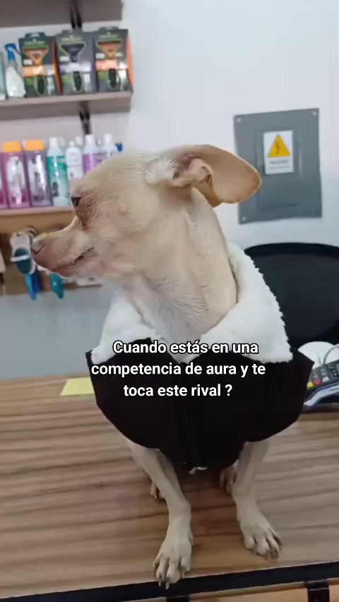 @Maria Minerva Sarabi