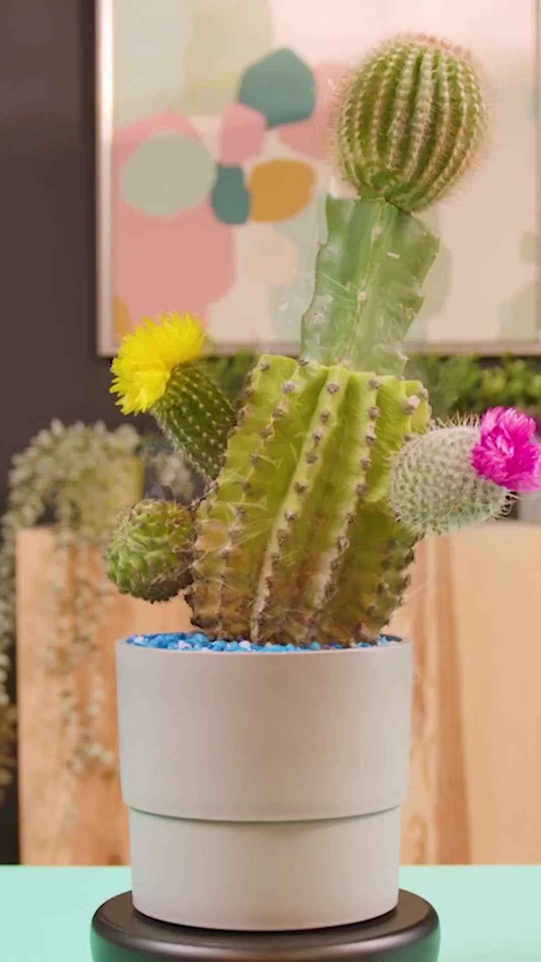 @5-Minute Crafts shorts