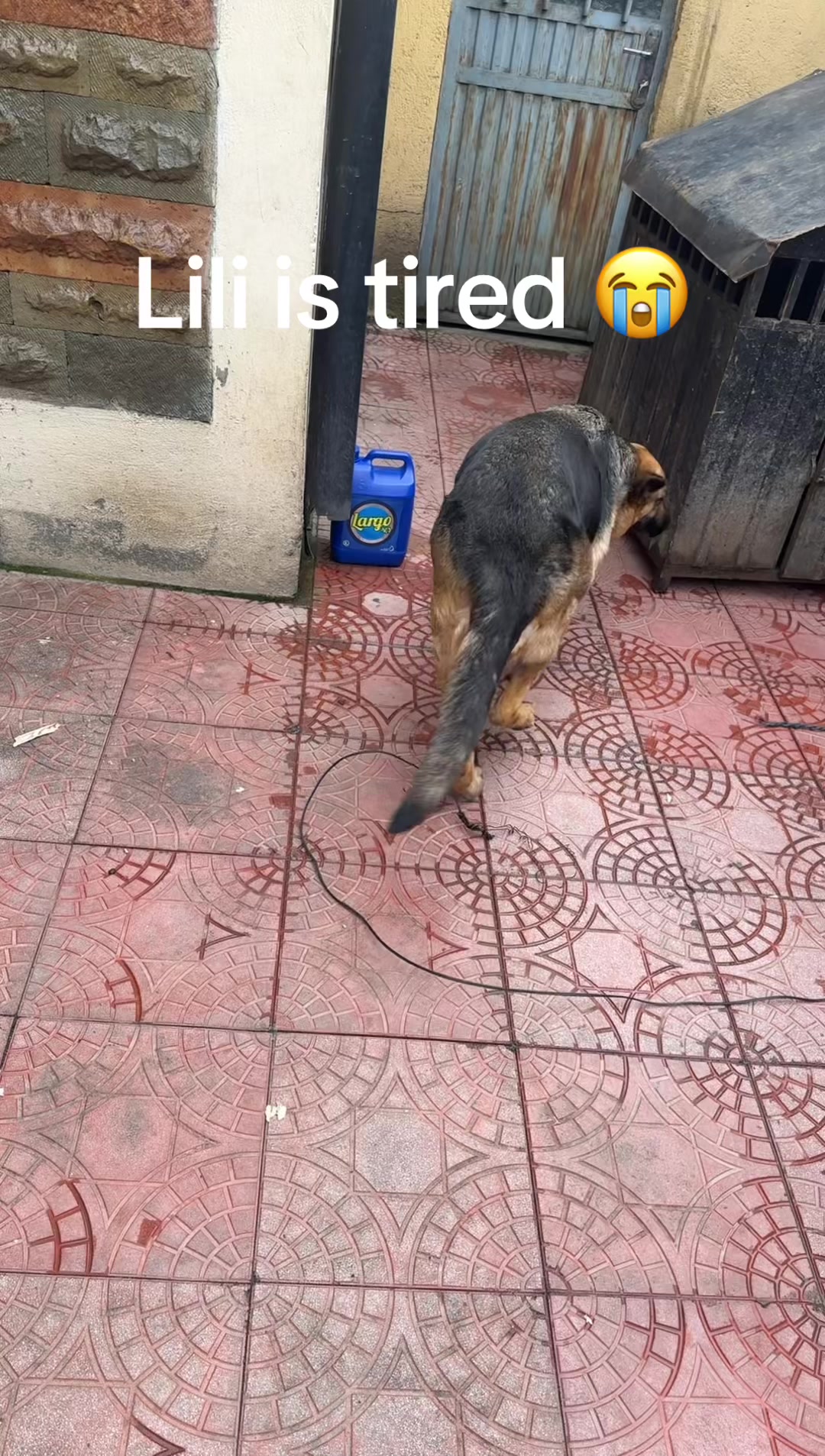 @Bella