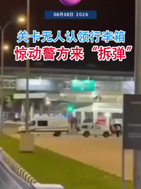 @中国报