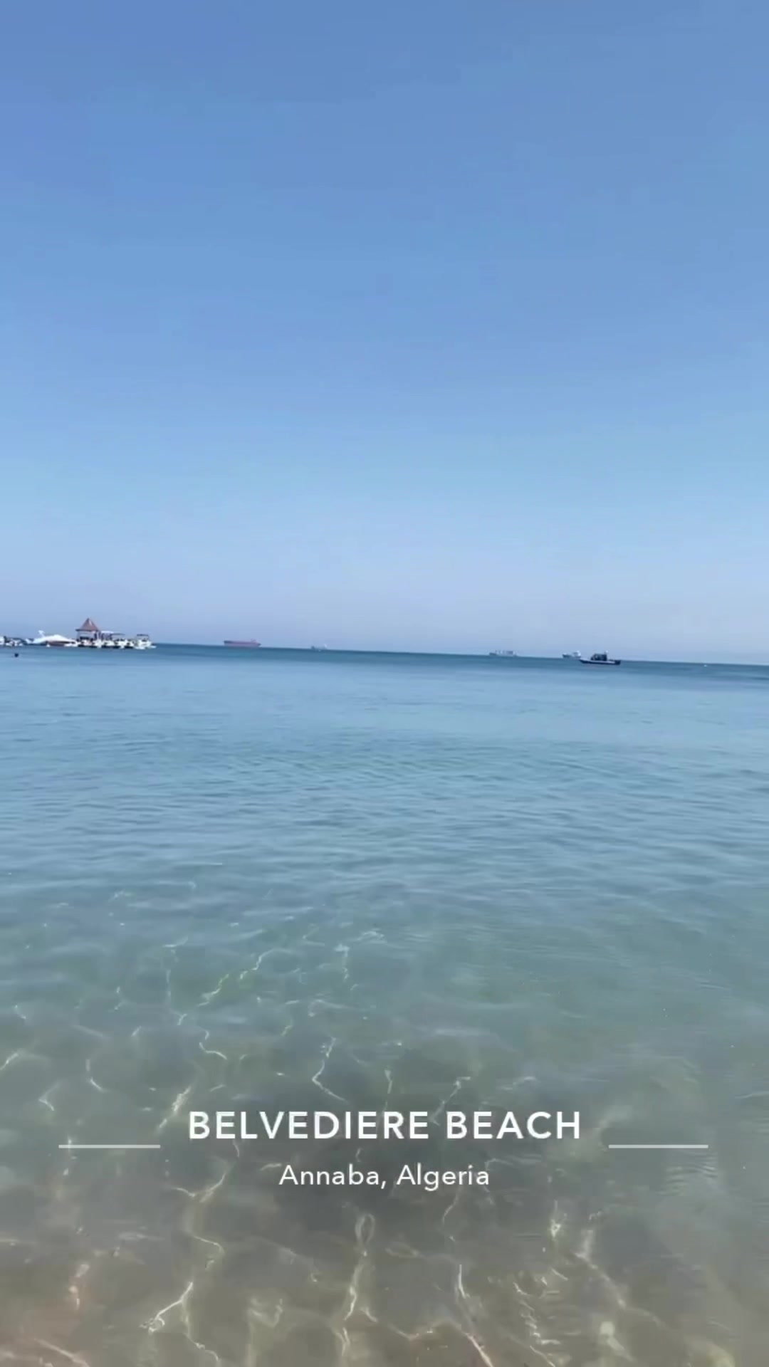 @باشيشو🖤