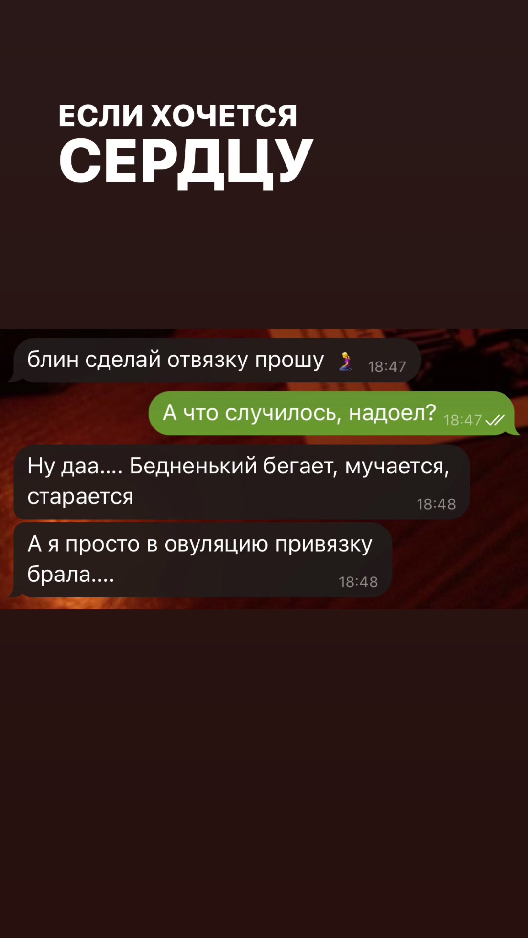 @polya_gadalochka