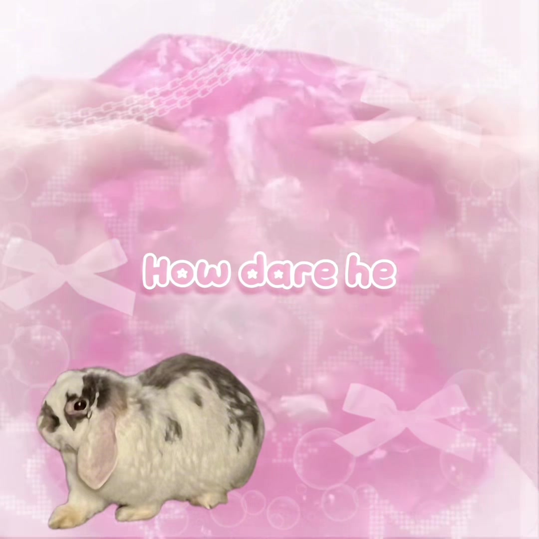 @Bunny