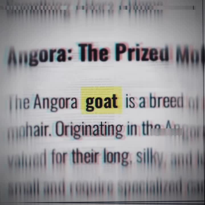 @✝️MadHole✝️G.O.A.T
