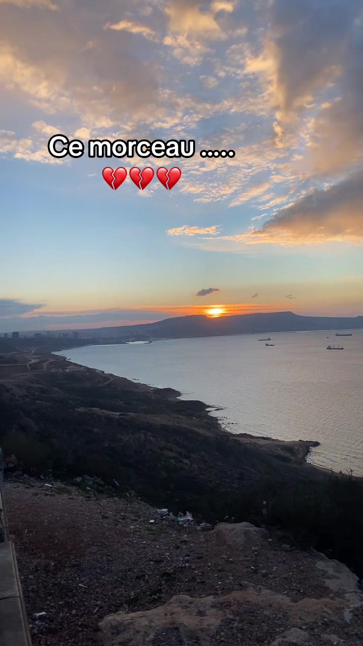 @Sipinico🦑