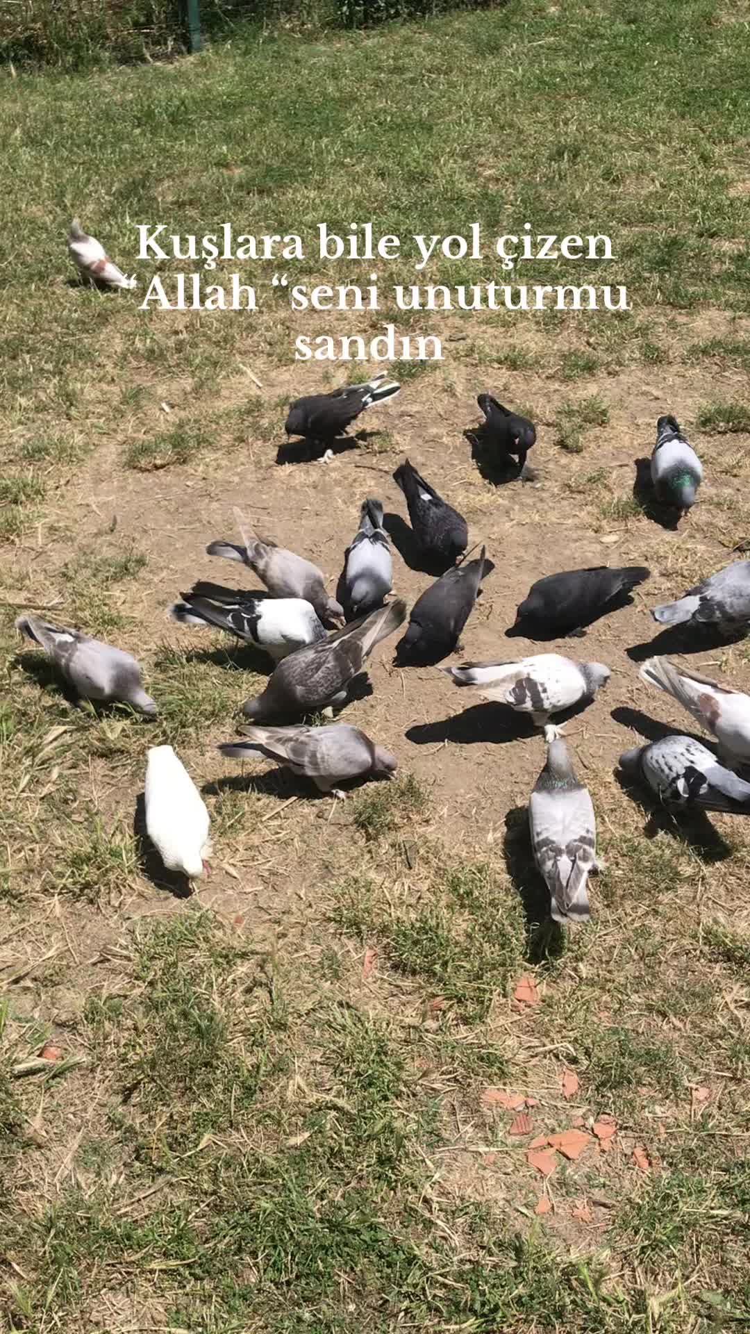 @🪬