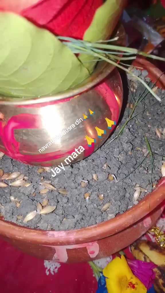 @mamta 😭💔🌹❣️🙏🌷💝🌷