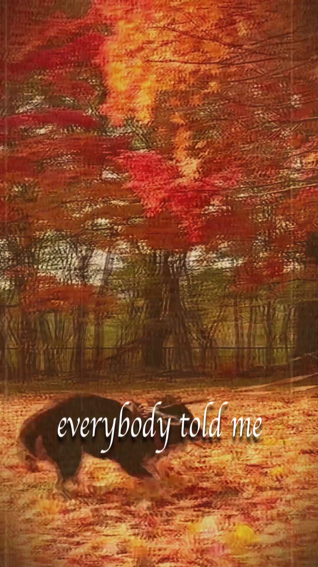 @overlytrimandtweakedout