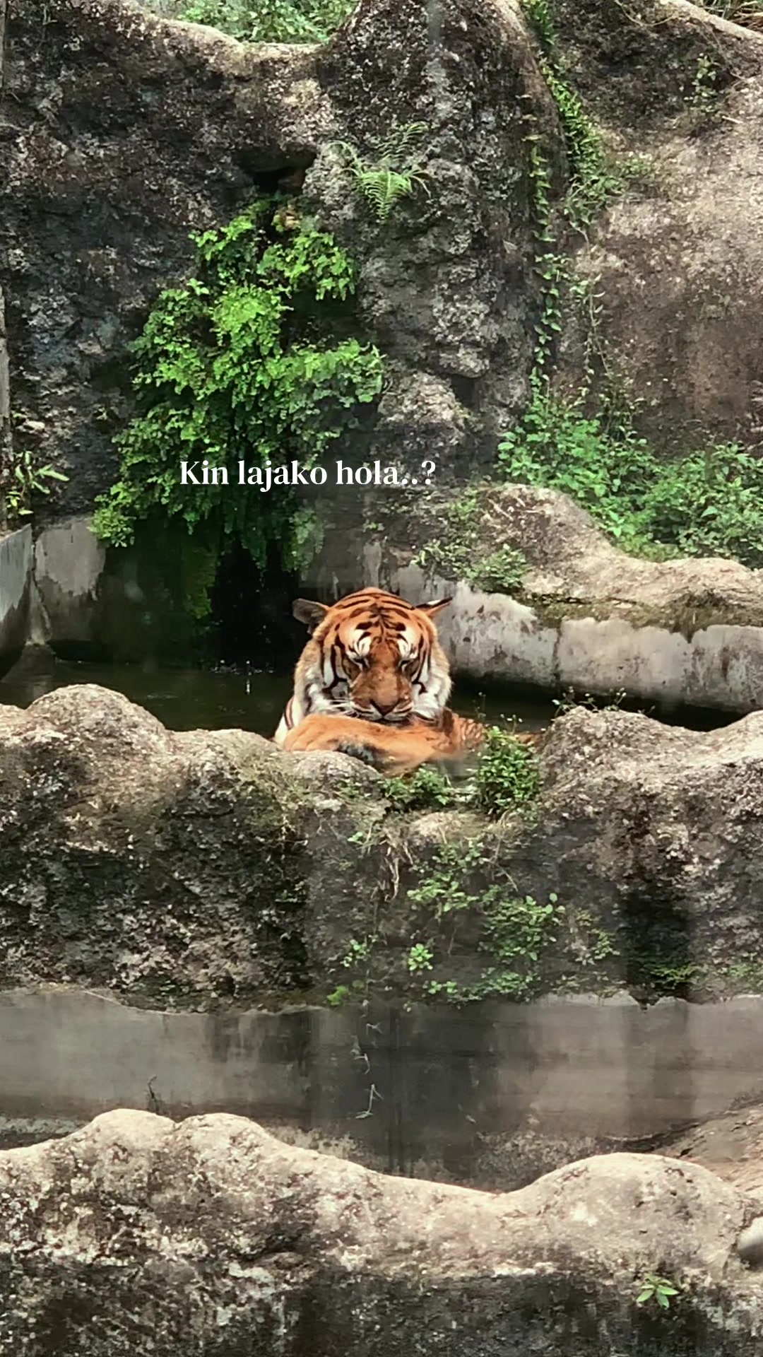 @Navraj🕉️