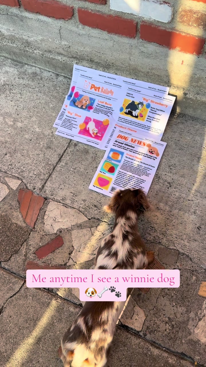 @Daisy💕🌸🎀