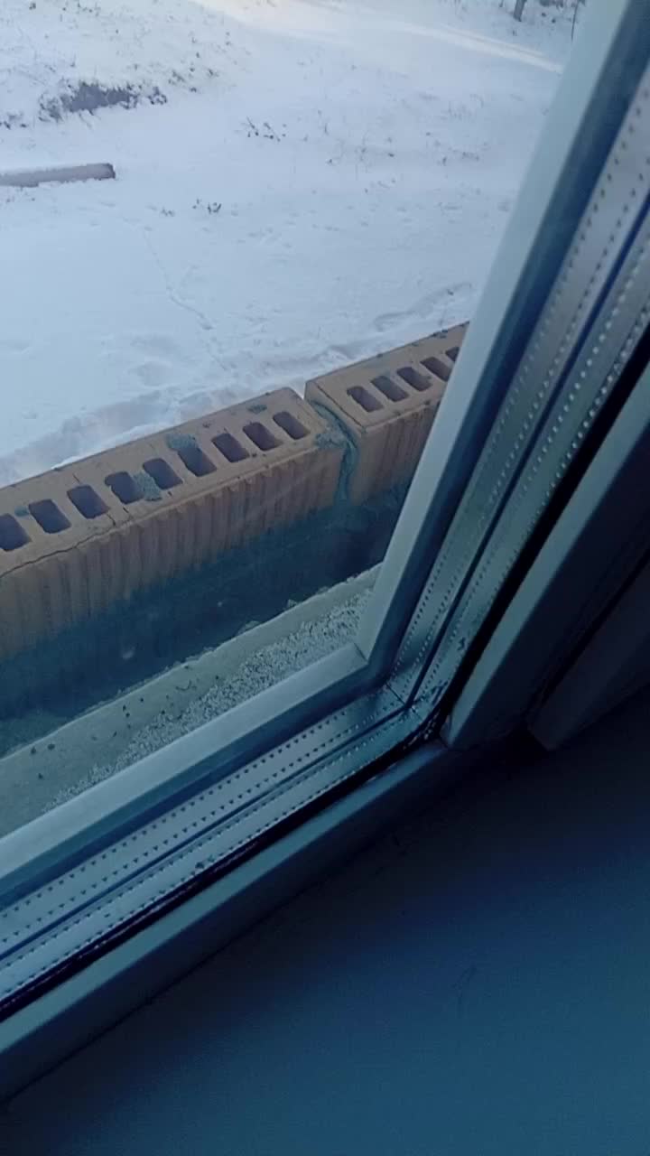 @строитель. 🪳