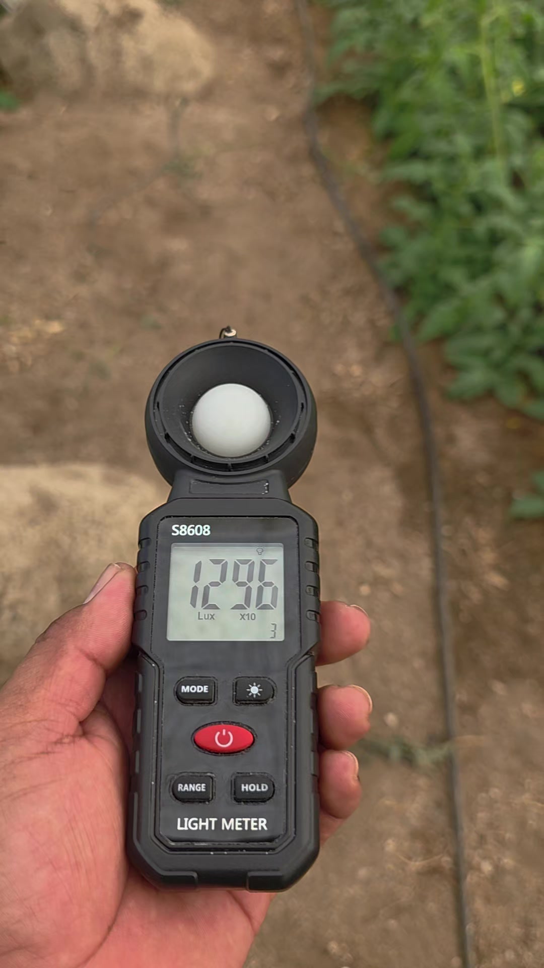 @El Extensionista del Agro