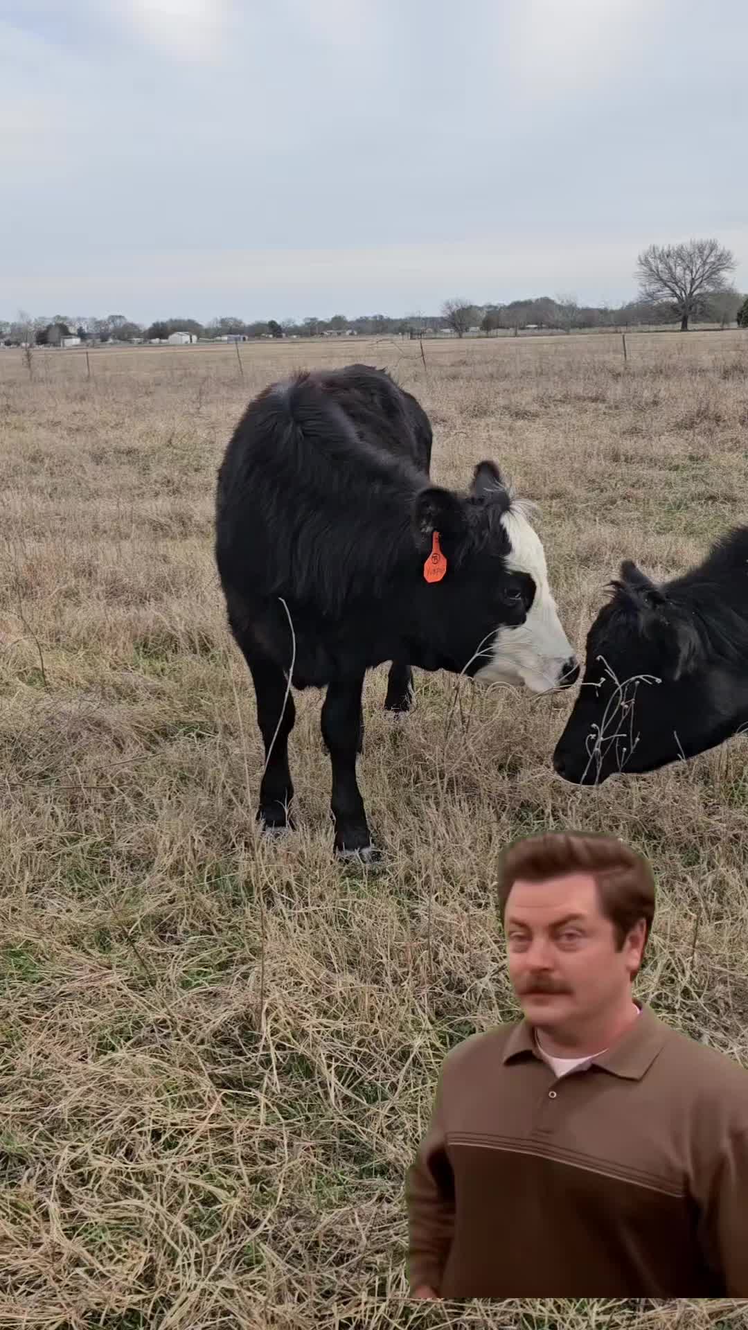@Mike