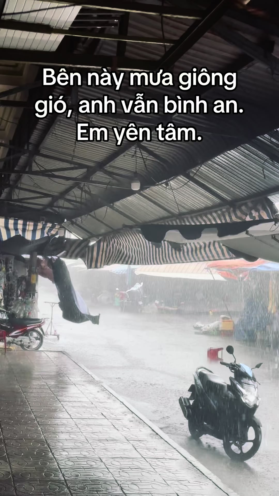 @T&ograve;n B&aacute;nh Bao
